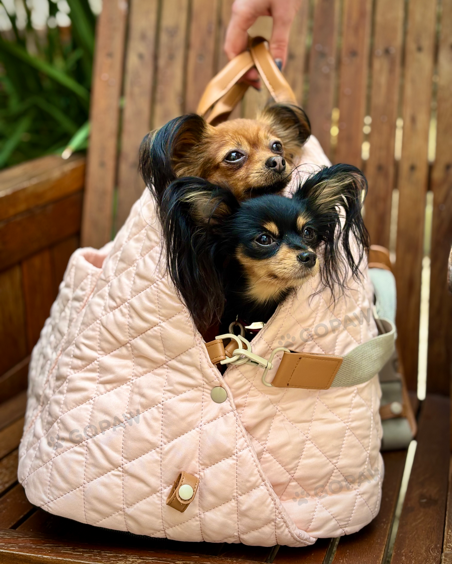 Luci Carrier Handbag