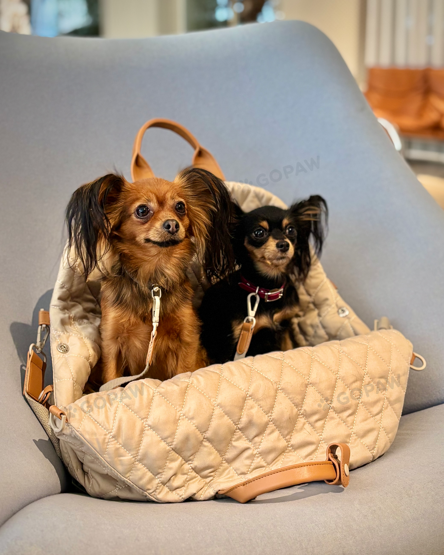 Luci Carrier Handbag