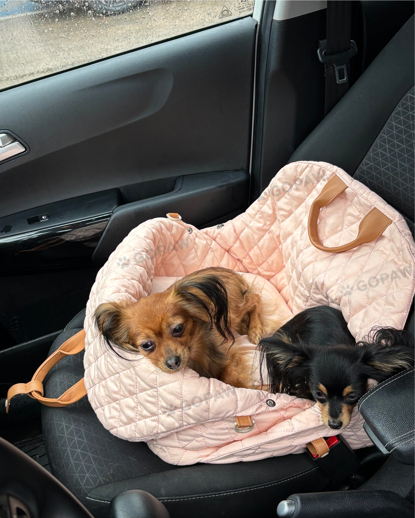 Luci Carrier Handbag