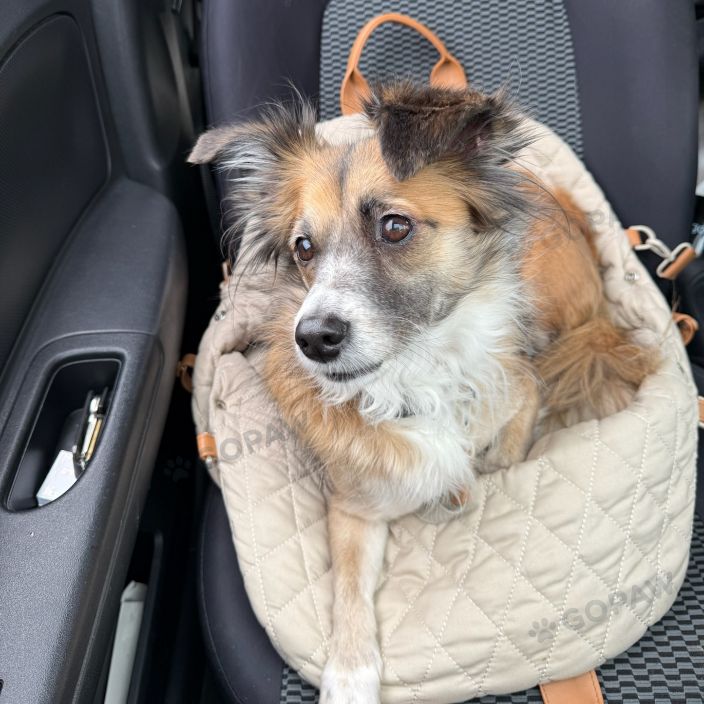Luci Carrier Handbag