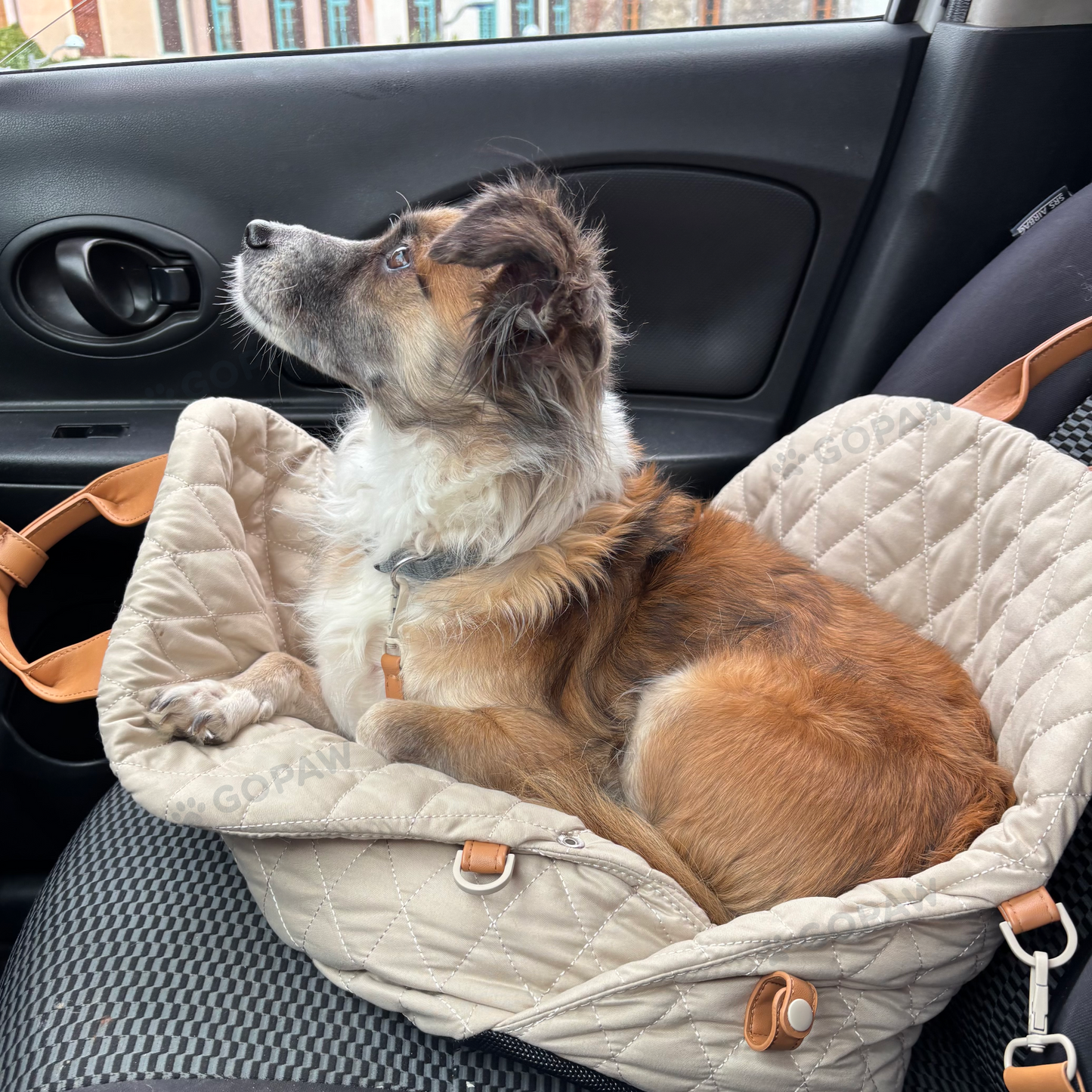 Luci Carrier Handbag