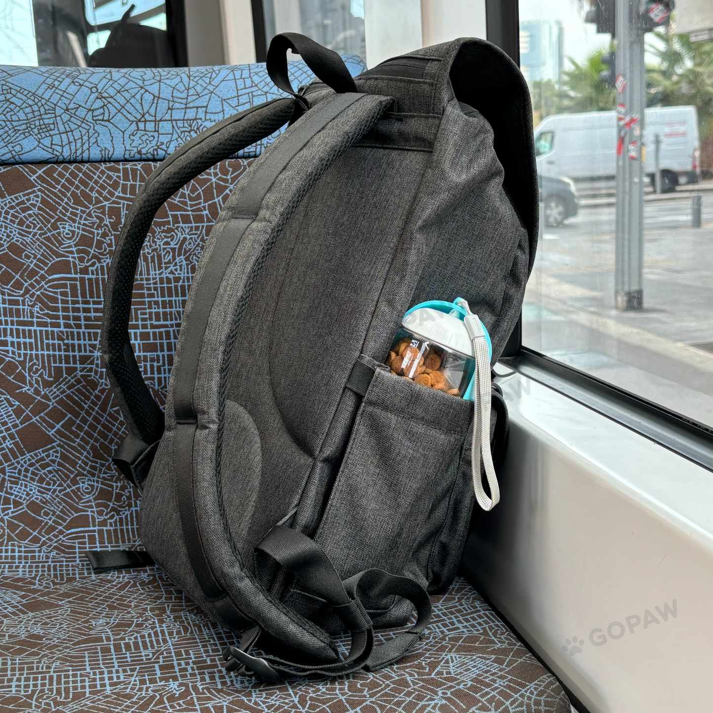 GoPaw Travel Bottle