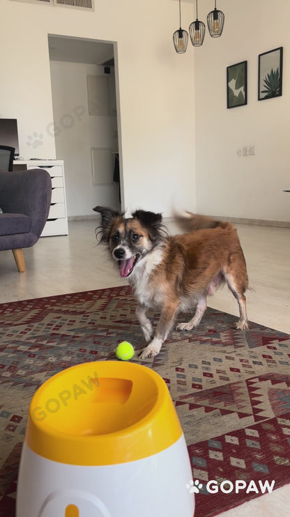 GoPaw Fetch Pro